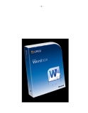 Word 2010