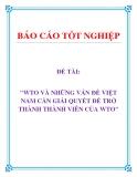 Đề tài về:  WTO VÀ NHỮNG VẤN ĐỀ VIỆT NAM CẦN GIẢI QUYẾT ĐỂ TRỞ THÀNH THÀNH VIÊN CỦA WTO'.