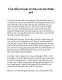 Cần tiến tới soát xét báo cáo tài chính quý