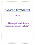 Đề tài: Hiệu quả kinh doanh trong các doanh nghiệp