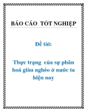 Đề tài: Thực trạng  của sự phân hoá giàu nghèo ở nước ta hiện nay