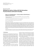 Báo cáo hóa học: "Research Article Multiple Description Coding with Side Information: Practical Scheme and Iterative Decoding"