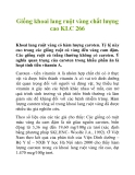 Giống khoai lang ruột vàng chất lượng cao KLC 266