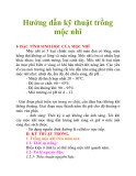 Hướng dẫn kỹ thuật trồng mộc nhĩ