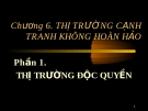  Kinh tế vi mô: Thị trường cạnh tranh không hoàn hảo