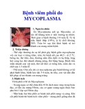 Bệnh viêm phổi do MYCOPLASMA