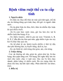 Bệnh viêm ruột thể ca ta cấp tính