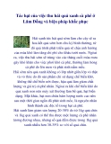 Tác hại của việc thu hái quả xanh cà phê ở Lâm Đồng và biện pháp khắc phục