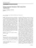 Báo cáo hóa học: "  Probing Nucleation Mechanism of Self-Catalyzed InN Nanostructures?"