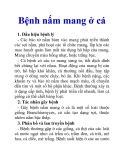 Bệnh nấm mang ở cá