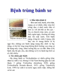 Bệnh trùng bánh xe