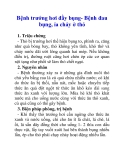 Bệnh trướng hơi đầy bụng- Bệnh đau bụng, ỉa chảy ở thỏ