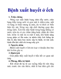 Bệnh xuất huyết ở ếch