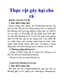 Thực vật gây hại cho cá