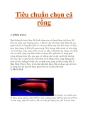 Tiêu chuẩn chọn cá rồng