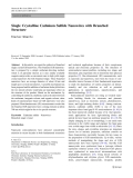 Báo cáo hóa học: " Single Crystalline Cadmium Sulﬁde Nanowires with Branched Structure"