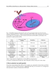 Acute Ischemic Stroke Part 5