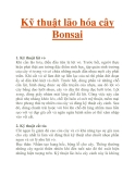 Kỹ thuật lão hóa cây Bonsai