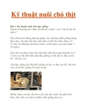 Kỹ thuật nuôi chó thịt