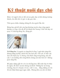 Kỹ thuật nuôi dạy chó