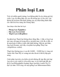 Phân loại Lan