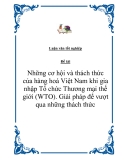 Đề án: Những cơ hội và thách thức của hàng hoá Việt Nam khi gia nhập Tổ chức Thương mại thế giới (WTO). Giải pháp để vượt qua những thách thức