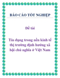 Đề tài: Tín dụng trong nền kinh tế thị trường định hướng xã hội chủ nghĩa ở Việt Nam