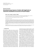 Báo cáo hóa học: "Research Article Biomedical Image Sequence Analysis with Application to Automatic Quantitative Assessment of Facial Paralysis"