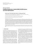 Báo cáo hóa học: "Research Article Feedback Reduction in Uplink MIMO OFDM Systems by Chunk Optimization"