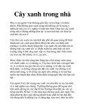 Cây xanh trong nhà