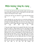 Hiện tượng vàng lá, rụng lá