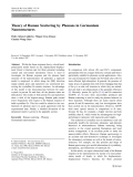 Báo cáo hóa học: " Theory of Raman Scattering by Phonons in Germanium Nanostructures"