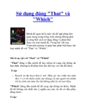 Sử dụng đúng "That" và "Which"