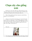 Chọn cây cho giếng trời