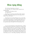 Hoa rạng đông