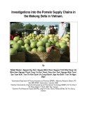 Báo cáo nghiên cứu nông nghiệp "Investigations into the Pomelo Supply Chains in the Mekong Delta in Vietnam  "