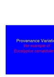 Báo cáo nghiên cứu nông nghiệp " Provenance Variation the example of Eucalyptus camaldulensis "