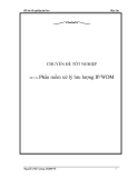 Đồ án: Phần mềm xử lý lưu lượng IP/WDM