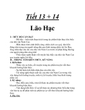 Tiết 13 + 14 Lão Hạc