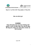 Dự án nghiên cứu nông nghiệp: Thay thế phân bón hoá học N bằng chế phẩm vi sinh cố định đạm cho cây họ đậu để tăng thu nhập cho nông dân và bảo vệ môi trường '