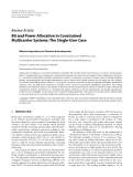 Báo cáo hóa học: "  Review Article Bit and Power Allocation in Constrained Multicarrier Systems: The Single-User Case"