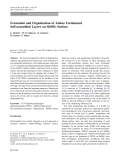 Báo cáo hóa học: "  Formation and Organization of Amino Terminated Self-assembled Layers on Si(001) Surface"