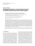 Báo cáo hóa học: "  Research Article Throughput Maximization under Rate Requirements for the OFDMA Downlink Channel with Limited Feedback"