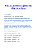 Unit 10. Possessive pronouns (Đại từ sở hữu)