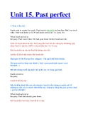 Unit 15. Past perfect