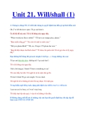 Unit 21. Will/shall (1)