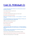 Unit 22. Will/shall (2)