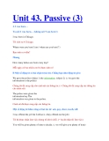 Unit 43. Passive (3)