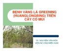 Báo cáo nghiên cứu nông nghiệp " BỆNH VÀNG LÁ GREENING (HUANGLONGBING) TRÊN CÂY CÓ MÚI "