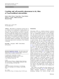 Báo cáo hóa học: " Combing and self-assembly phenomena in dry ﬁlms of Taxol-stabilized microtubules"